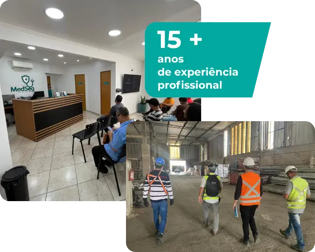 Experiência Profissional